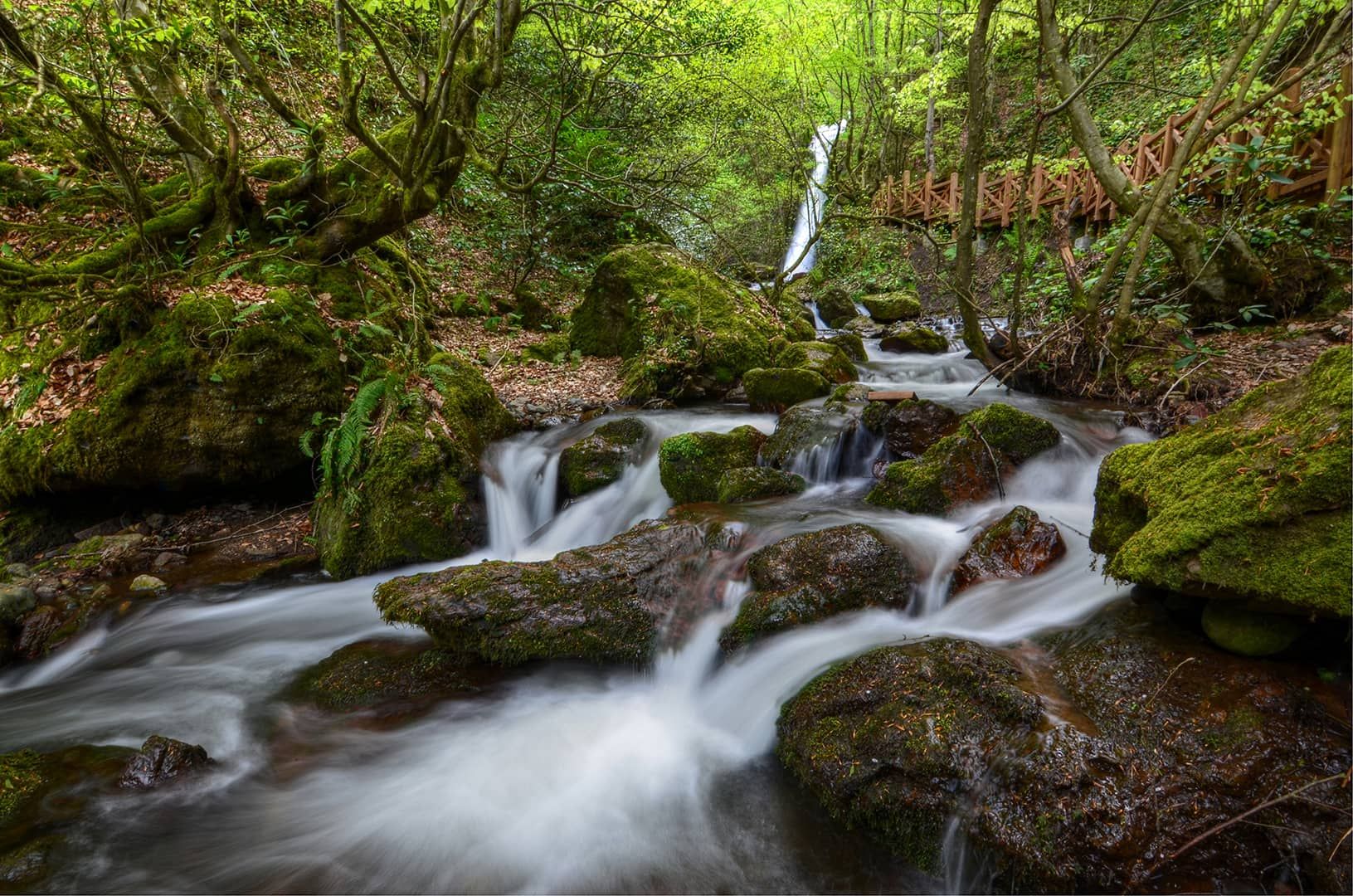 Aydınpınar Şelalesi Tabiat Parkı