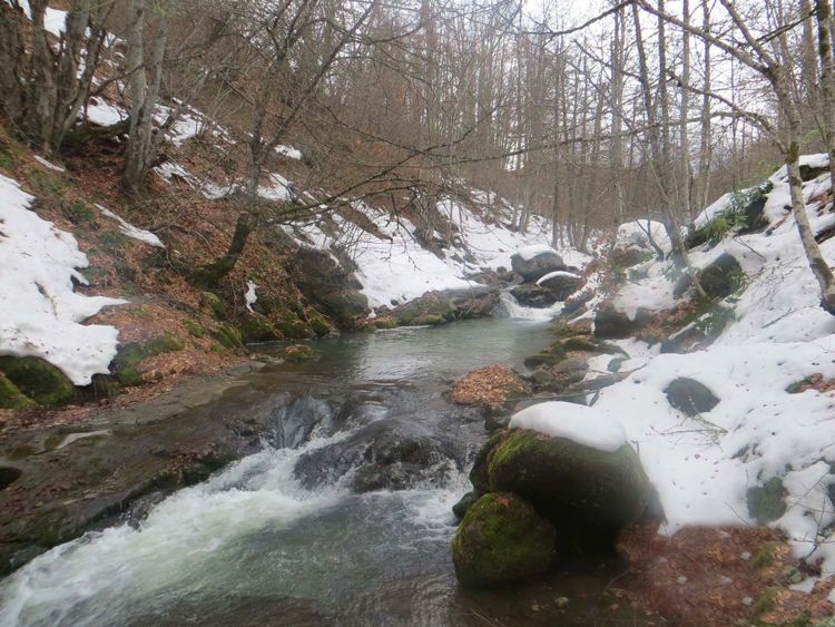 Geyiklibel Kanyonu Tabiat Parkı
